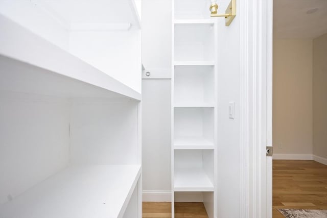spacious closet with light wood finished floors