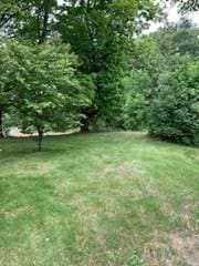 273 Dunhamtown Palmer Rd, Brimfield, MA 01010 - view of green lawn