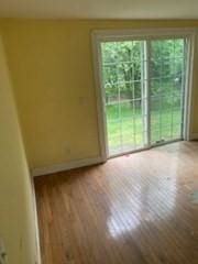 273 Dunhamtown Palmer Rd, Brimfield, MA 01010 - empty room with baseboards and wood finished floors