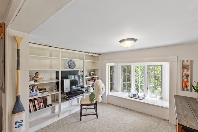 24 Summit Ave, Chelmsford, MA 01824 - office space featuring carpet