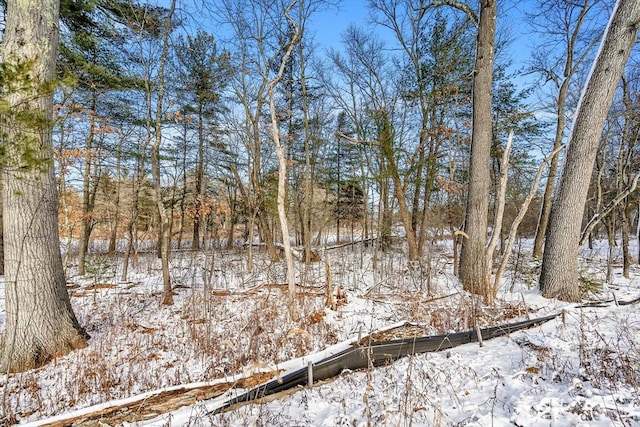 view of snow covered land