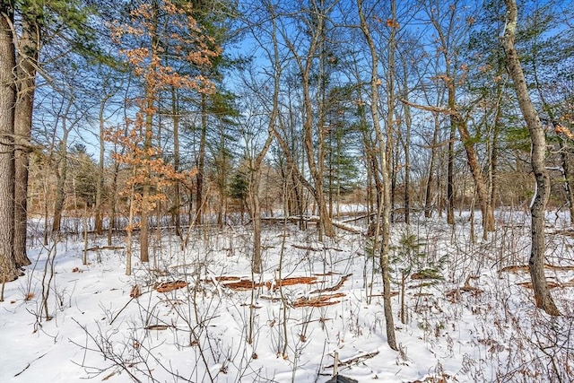 view of snow covered land