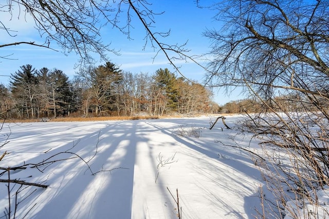 view of snowy yard