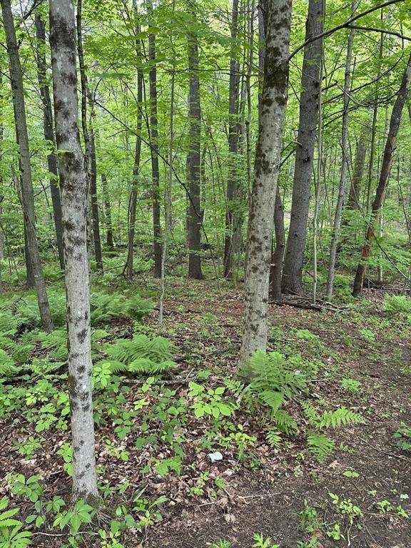 0 S Royalston Rd, Royalston, MA 01368