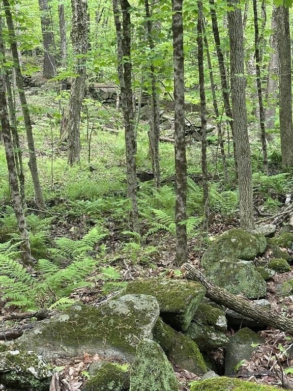 0 S Royalston Rd, Royalston, MA 01368