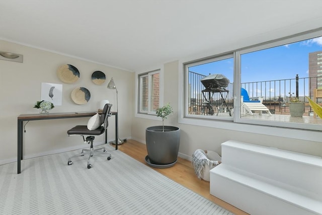 home office with wood-type flooring