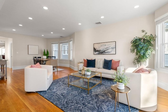 living room featuring wood-type flooring