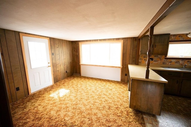kitchen featuring dark brown cabinetry, wood walls, plenty of natural light, and carpet floors