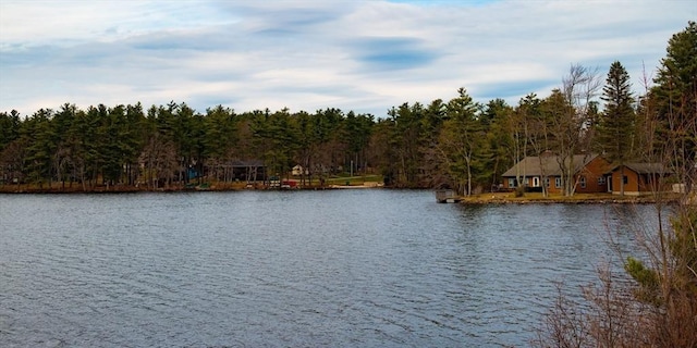 water view featuring a wooded view