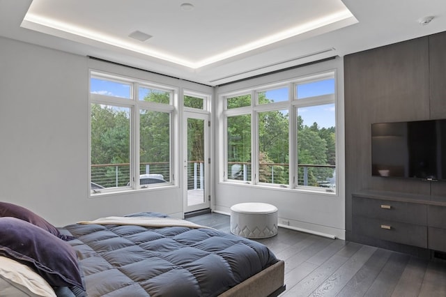 bedroom featuring a tray ceiling, access to exterior, and dark hardwood / wood-style floors