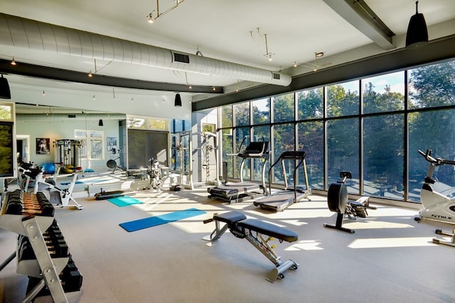 gym featuring floor to ceiling windows and a wealth of natural light