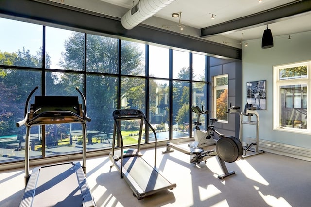 workout area with plenty of natural light