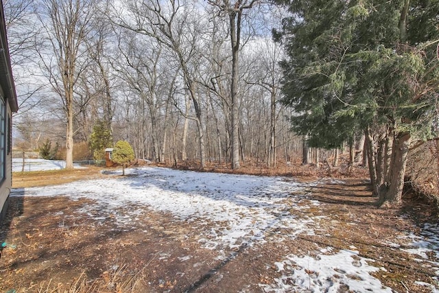 view of yard layered in snow