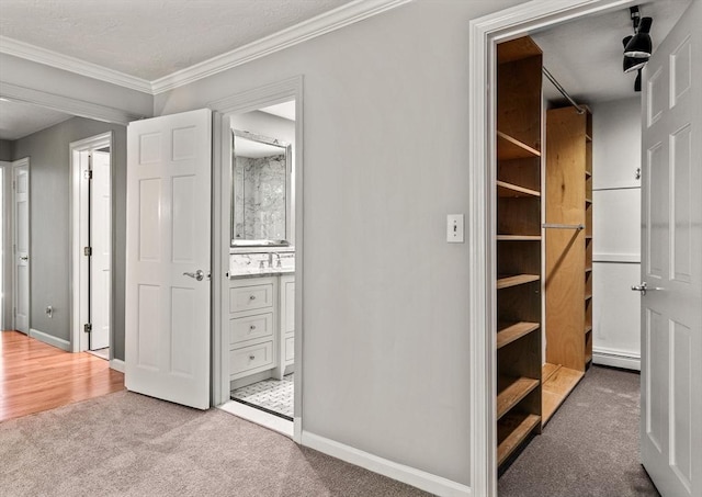 92 Clinton St, Hopkinton, MA 01748 - closet featuring baseboard heating and a sink
