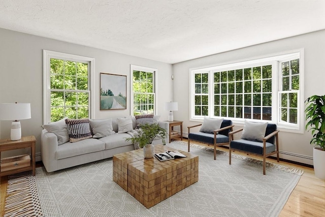 92 Clinton St, Hopkinton, MA 01748 - living area featuring baseboard heating and light wood finished floors
