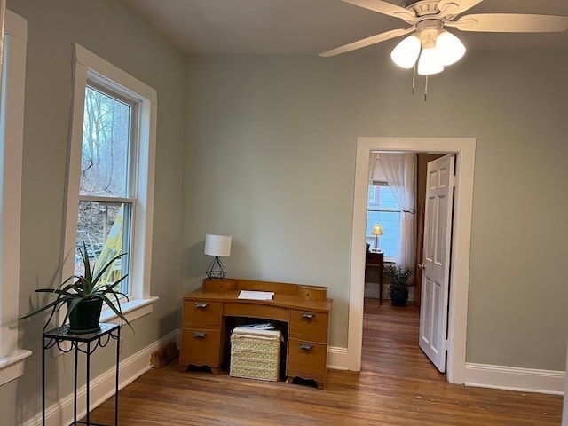 office space featuring hardwood / wood-style floors, a wealth of natural light, and ceiling fan