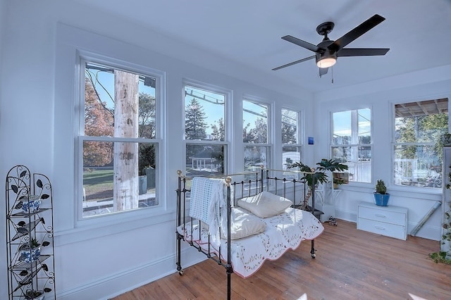 sunroom with ceiling fan and a healthy amount of sunlight