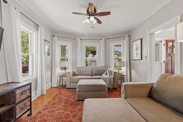 11 Draper Rd, Framingham, MA 01702 - living area featuring plenty of natural light, ceiling fan, ornamental molding, and wood finished floors
