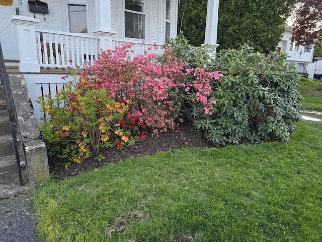 11 Draper Rd, Framingham, MA 01702 - view of grassy yard