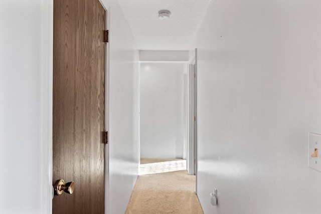 hall featuring carpet flooring and a textured ceiling