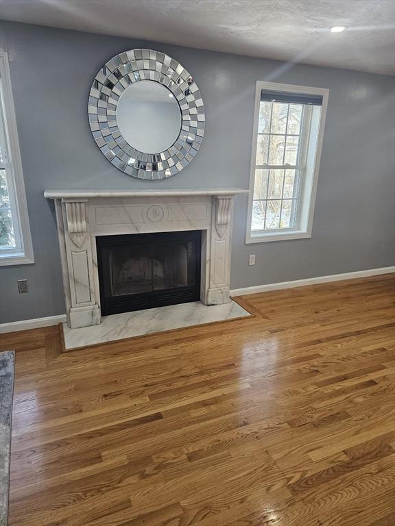 details with hardwood / wood-style floors and a high end fireplace