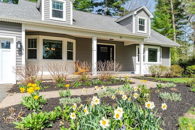 property entrance with a porch and a shingled roof