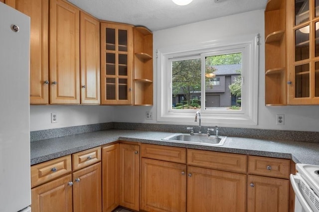 401 Colonial Dr Unit 35, Ipswich, MA 01938 - kitchen with a sink, freestanding refrigerator, stove, glass insert cabinets, and open shelves
