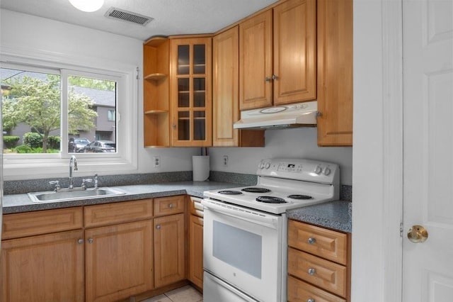 401 Colonial Dr Unit 35, Ipswich, MA 01938 - kitchen featuring under cabinet range hood, electric range, a sink, glass insert cabinets, and dark countertops