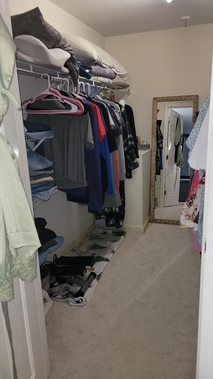 walk in closet featuring light colored carpet