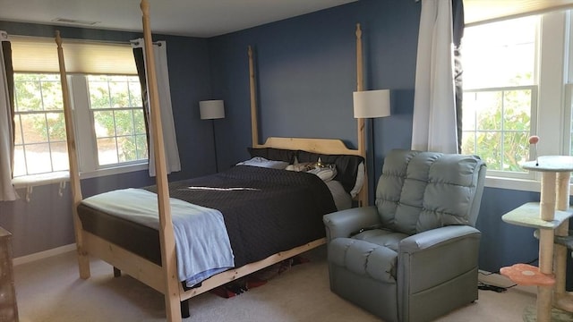 bedroom with carpet flooring and multiple windows