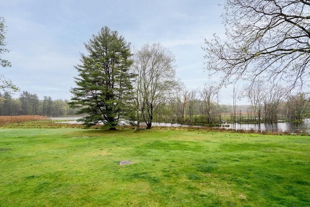 view of grassy yard featuring a water view