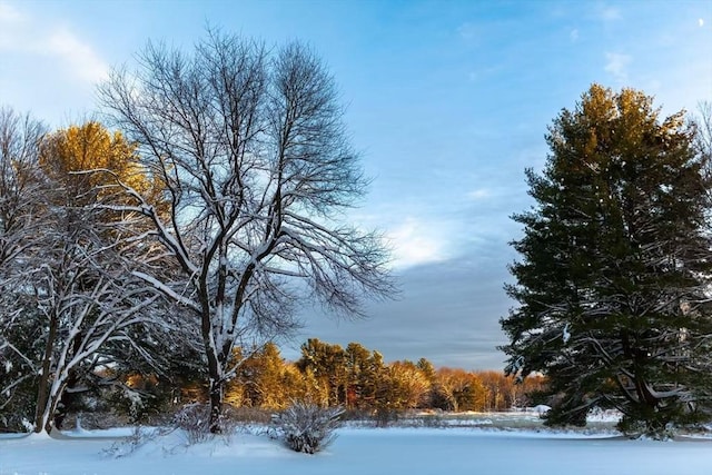 view of snowy view