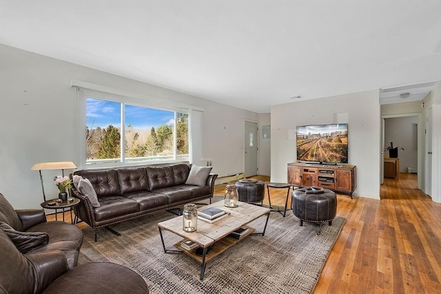 living room with wood-type flooring