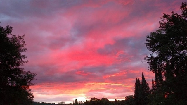 view of nature at dusk