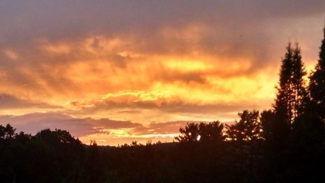 view of nature at dusk