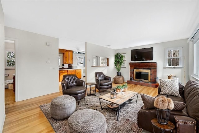 living room with a fireplace and light hardwood / wood-style flooring