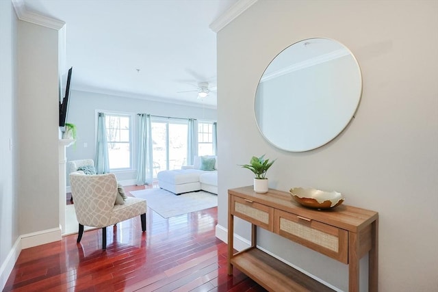 interior space featuring dark hardwood / wood-style floors and crown molding