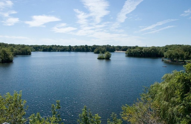 property view of water