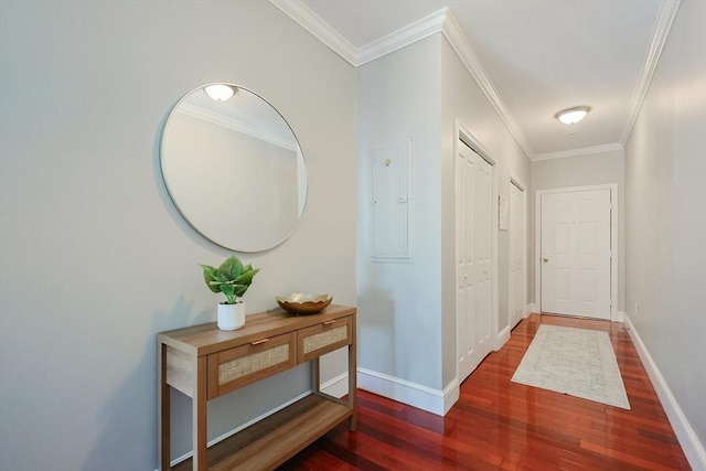 corridor featuring crown molding and dark hardwood / wood-style floors