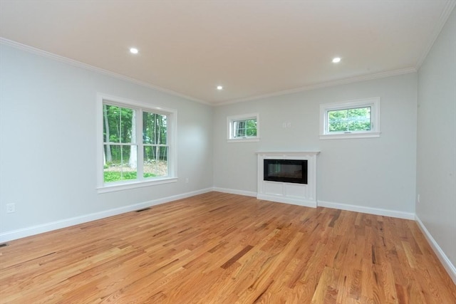 LOT0 Pine Hill Rd, Oxford, MA 01537 - unfurnished living room featuring crown molding, light wood-type flooring, a glass covered fireplace, plenty of natural light, and baseboards