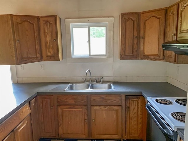 kitchen with electric range, ventilation hood, and sink