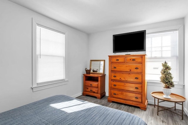 bedroom featuring wood-type flooring