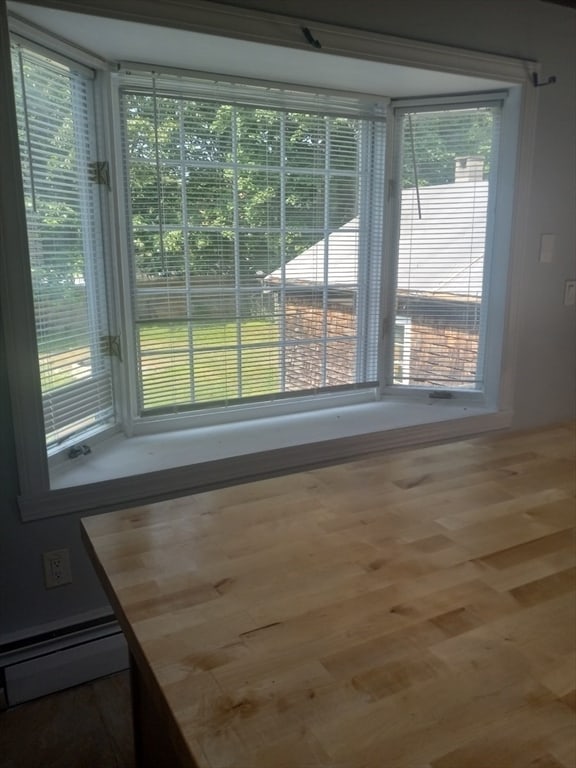 interior space featuring baseboard heating and hardwood / wood-style floors