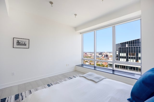 bedroom featuring multiple windows and wood-type flooring