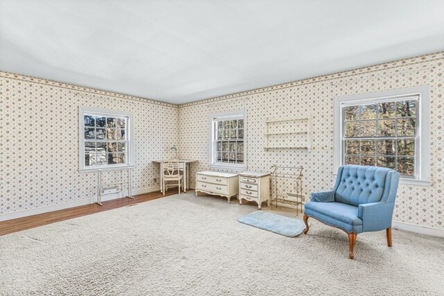 sitting room with hardwood / wood-style floors