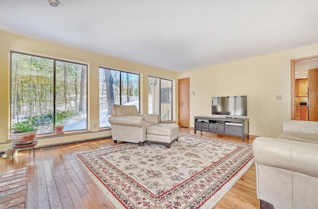 living area featuring light wood-style floors