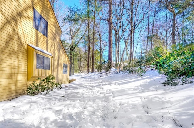 view of yard covered in snow