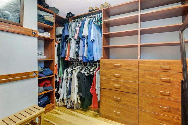 spacious closet featuring light hardwood / wood-style floors