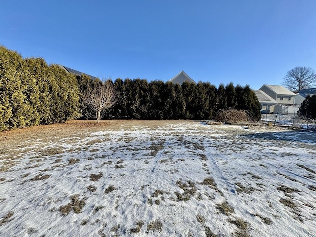 view of snowy yard