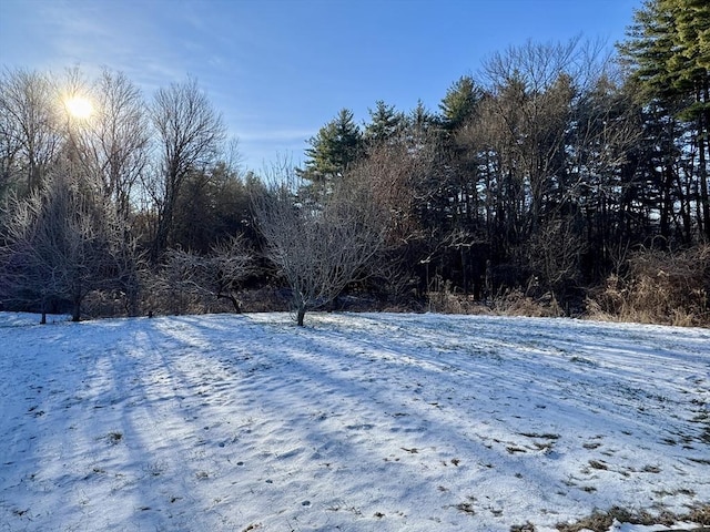 view of yard covered in snow